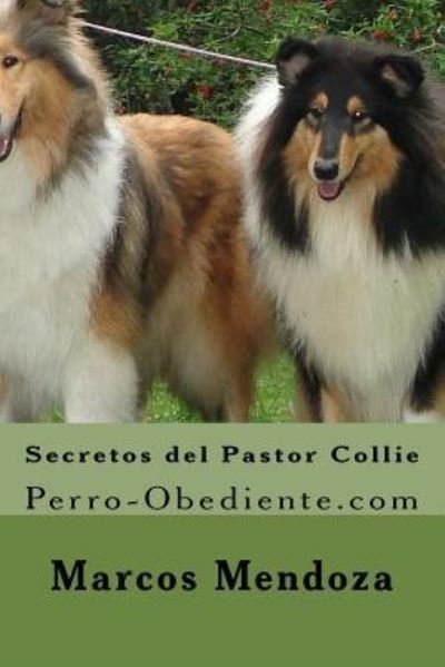 Cover for Marcos Mendoza · Secretos del Pastor Collie (Paperback Book) (2016)