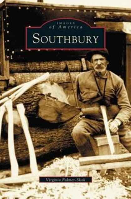 Cover for Virginia Palmer-Skok · Southbury (Hardcover Book) (2003)