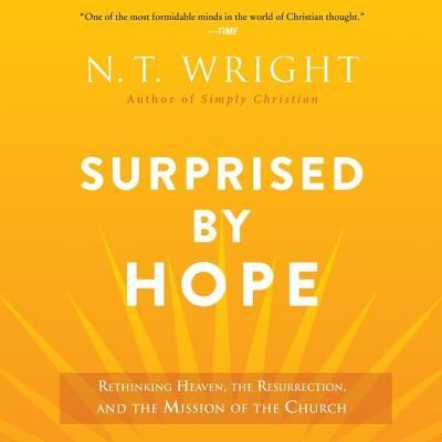 Surprised by Hope Lib/E - N T Wright - Muziek - HarperOne - 9781538500903 - 27 februari 2018