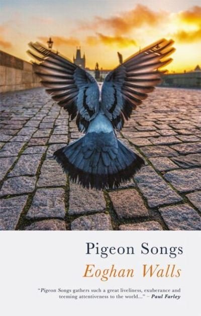 Cover for Eoghan Walls · Pigeon Songs (Paperback Book) (2019)