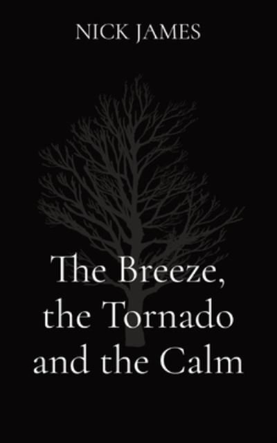 Cover for Nick James · The Breeze, the Tornado and the Calm (Taschenbuch) [Large type / large print edition] (2020)