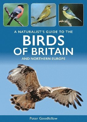 Cover for Peter Goodfellow · A Naturalist's Guide to the Birds of Britain and Northern Europe - Naturalists' Guides (Paperback Book) (2025)