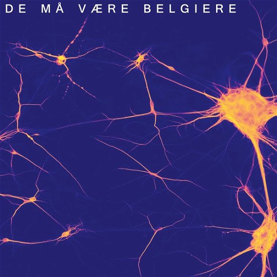 Cover for De Må Være Belgiere · Paradis (LP) (2021)
