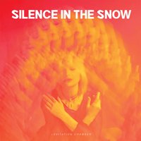 Cover for Silence In The Snow · Levitation Chamber (LP) [Limited edition] (2019)