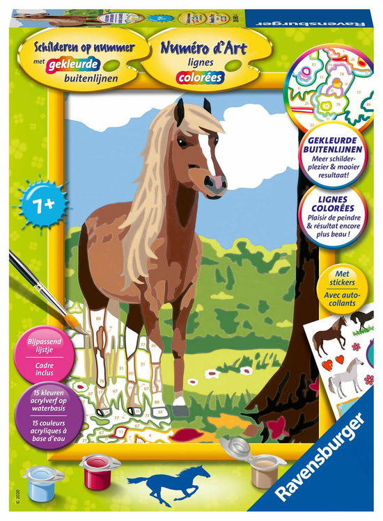 Cover for Schilderen Op Nummer · Paard (Spielzeug)