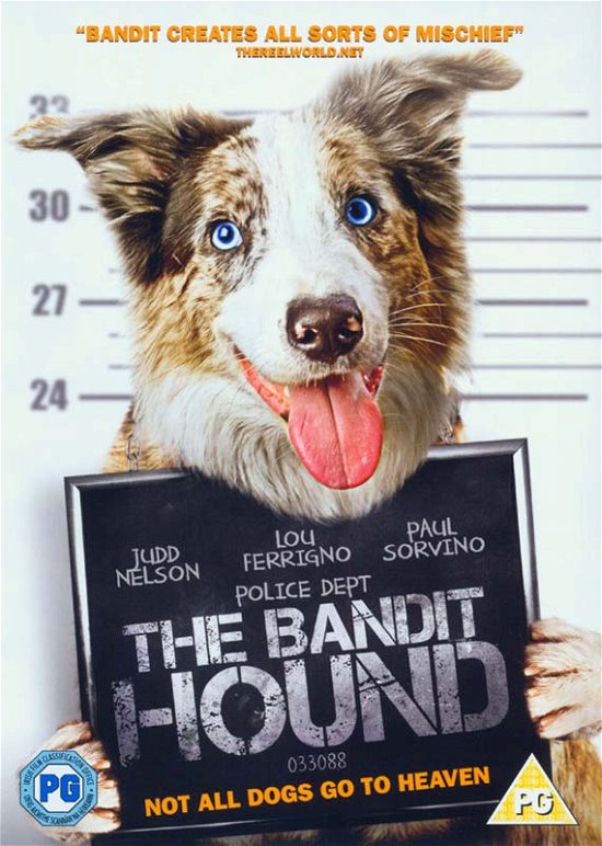 Cover for Fox · The Bandit Hound (DVD) (2017)