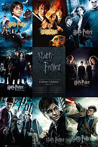 Cover for Großes Poster · HARRY POTTER - Poster Collection (91.5x61) (Spielzeug) (2019)