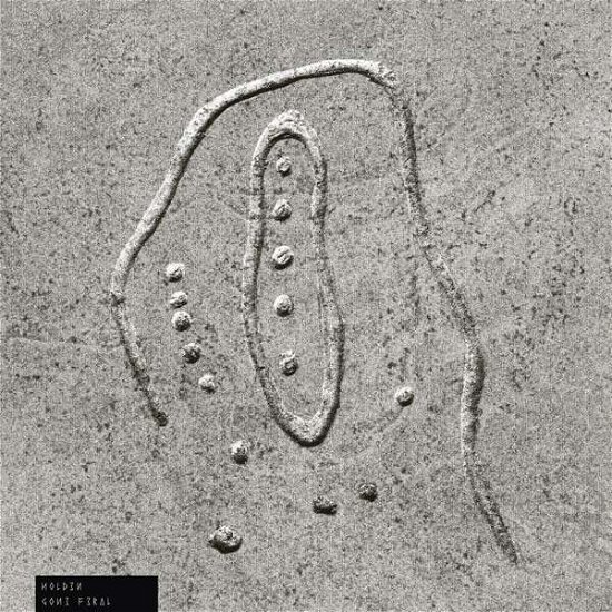 Cover for James Holden · Gone Feral (LP) (2013)
