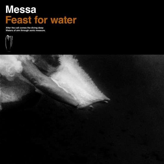 Cover for Mess · Feast for Water (CD) (2018)