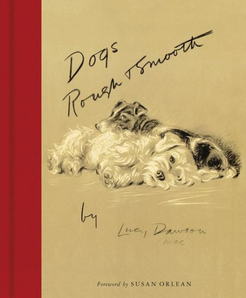 Cover for Lucy Dawson · Dogs Rough and Smooth (Hardcover Book) (2016)