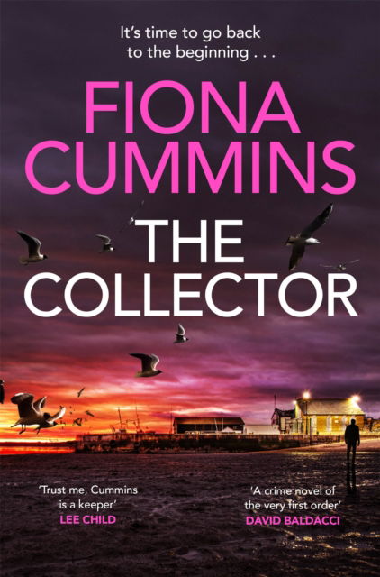 Cover for Fiona Cummins · The Collector (Paperback Book) (2023)