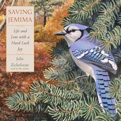 Cover for Julie Zickefoose · Saving Jemima : Life and Love with a Hard-Luck Jay : Library Edition (CD) (2019)