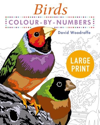 Cover for David Woodroffe · Large Print Colour by Numbers Birds: Easy-to-Read - Arcturus Large Print Colour by Numbers Collection (Paperback Book) (2022)