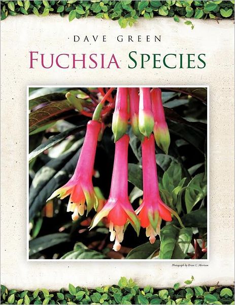 Cover for Dave Green · Fuchsia Species (Paperback Book) (2011)