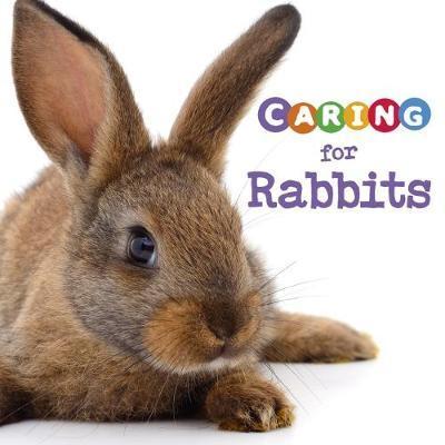 Cover for Tammy Gagne · Caring for Rabbits - Expert Pet Care (Paperback Book) (2018)