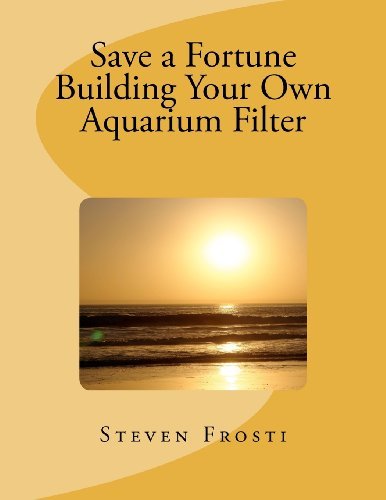 Save a Fortune Building Your Own Aquarium Filter - Windrider - Kirjat - CreateSpace Independent Publishing Platf - 9781475060904 - torstai 22. maaliskuuta 2012