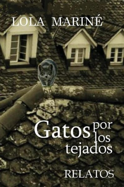 Cover for Lola Castillo Marine · Gatos Por Los Tejados (Paperback Book) (2014)