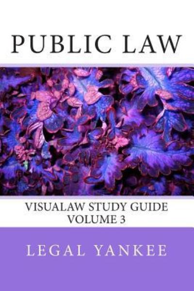 Cover for Legal Yankee · Public Law: Outlines, Diagrams, and Study Aids (Pocketbok) (2014)