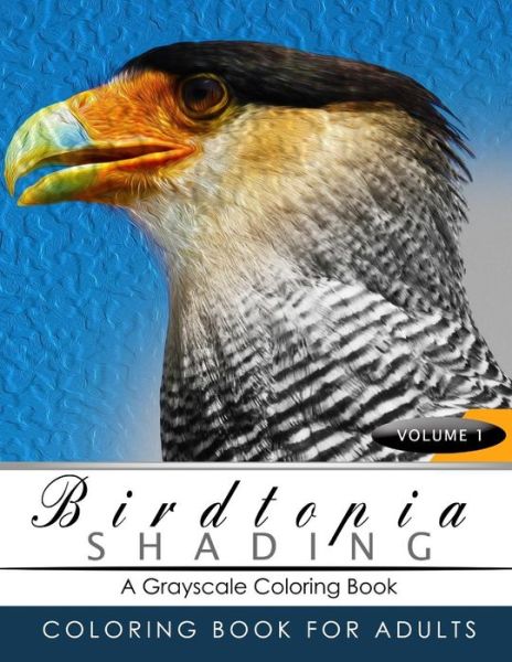 Cover for Birdtopia Grayscale Publishing · BirdTopia Shading Volume 1 (Paperback Book) (2016)