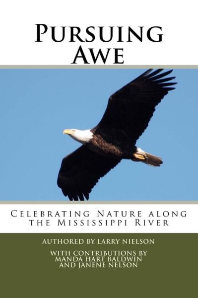 Cover for Larry Nielson · Pursuing Awe (Paperback Book) (2017)