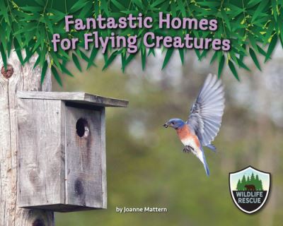 Cover for Joanne Mattern · Fantastic Homes for Flying Creatures (Hardcover Book) (2022)