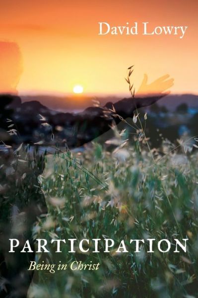 Participation - David Lowry - Books - Wipf & Stock Publishers - 9781666734904 - February 25, 2022