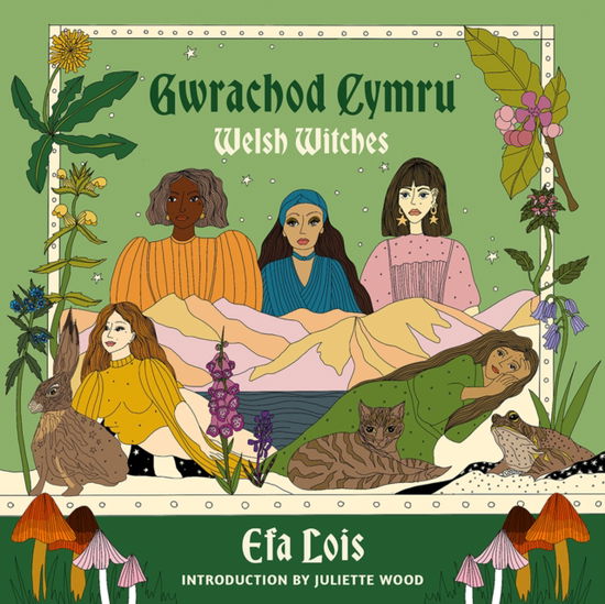 Cover for Efa Lois · Gwrachod Cymru | Welsh Witches (Taschenbuch) (2025)