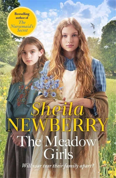 Cover for Sheila Everett · The Meadow Girls: A heartwarming World War I saga (Pocketbok) (2020)