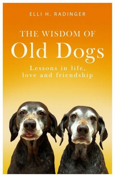 Cover for Elli H. Radinger · The Wisdom of Old Dogs: Lessons in life, love and friendship (Paperback Bog) (2020)