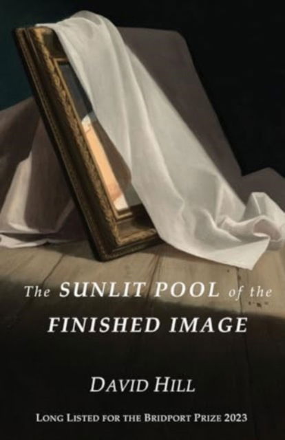 Cover for David Hill · The Sunlit Pool of the Finished Image (Taschenbuch) (2024)