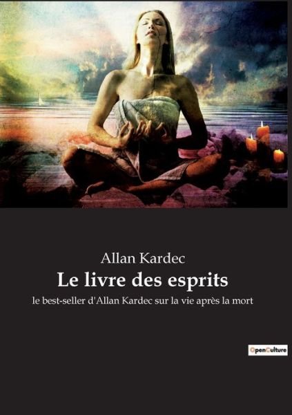 Cover for Allan Kardec · Le livre des esprits (Paperback Book) (2022)