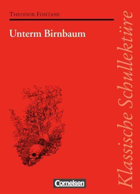 Klass.Schullektüre. Fontane.Birnbaum - Theodor Fontane - Książki -  - 9783454520904 - 