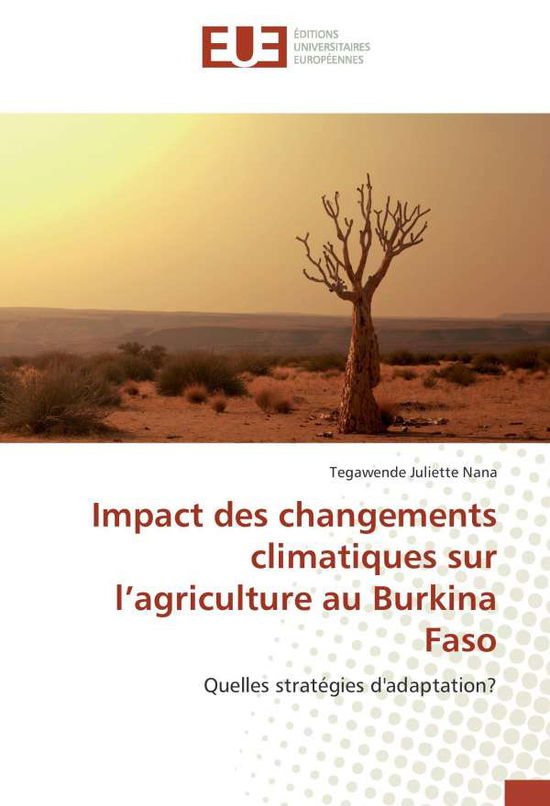 Impact des changements climatiques - Nana - Books -  - 9783639523904 - 