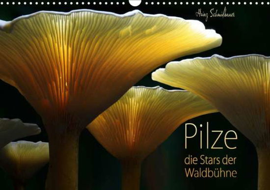 Cover for Schmidbauer · Pilze - die Stars der Waldb (Book)