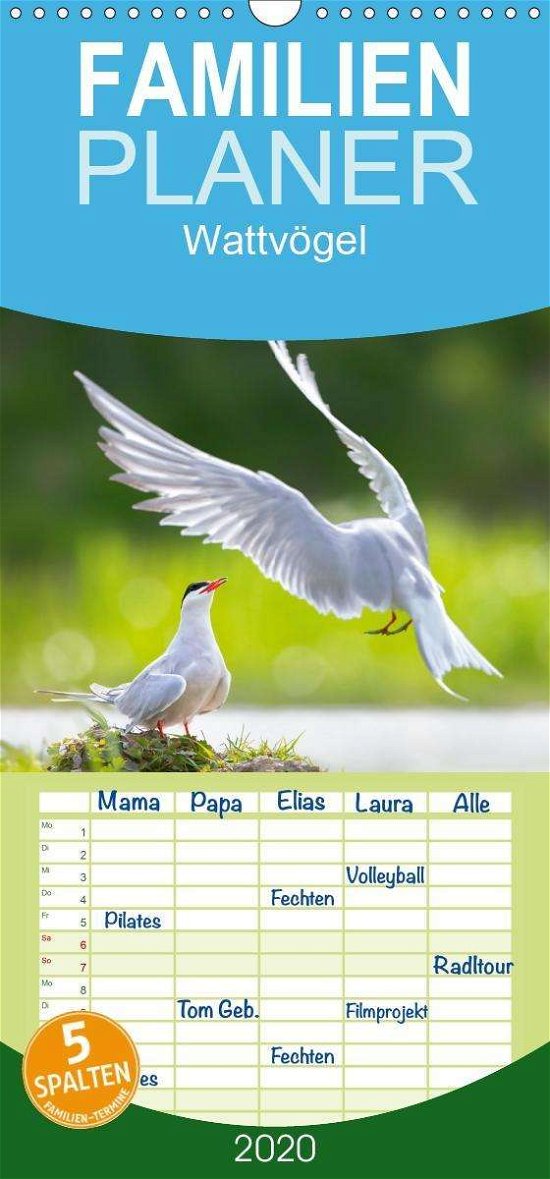 Cover for Will · Wattvögel an der Friesischen IJsse (Buch)
