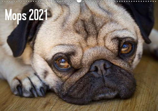 Cover for Zoellner · Mops 2021 (Wandkalender 2021 D (Book)