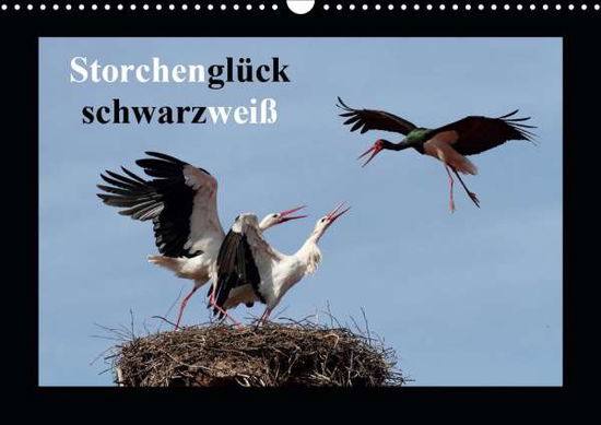 Cover for Bachmeier · Storchenglück schwarzweiß (Wa (Book)