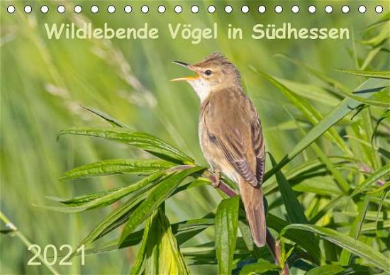 Cover for Buß · Wildlebende Vögel in Südhessen (Tis (Bog)