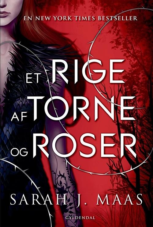 Cover for Sarah J. Maas · Et rige af torne og roser: Et rige af torne og roser (Hæftet bog) [1. udgave] (2017)