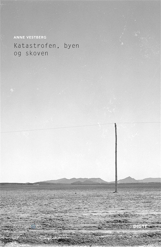 Cover for Anne Vestberg · Katastrofen, byen og skoven (Sewn Spine Book) [1. Painos] (2016)