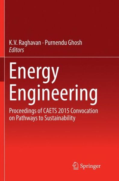Cover for Energy Engineering: Proceedings of CAETS 2015 Convocation on Pathways to Sustainability (Paperback Book) [Softcover reprint of the original 1st ed. 2017 edition] (2018)