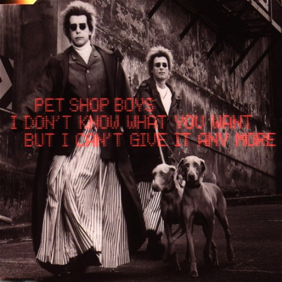 Cover for Pet Shop Boys · I Don't Know What You Want But ... (CD)