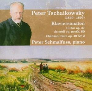 Klaviersonaten - Tchaikowsky / Schmalfuss,peter - Musik - BM - 4014513022905 - 13 september 2005