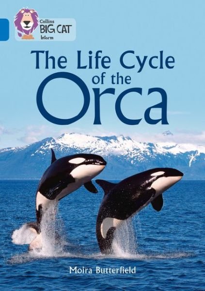 Cover for Moira Butterfield · The Life Cycle of the Orca: Band 16/Sapphire - Collins Big Cat (Paperback Bog) (2017)