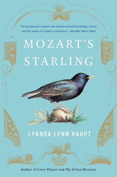 Cover for Lyanda Lynn Haupt · Mozart's Starling (Bog) (2018)