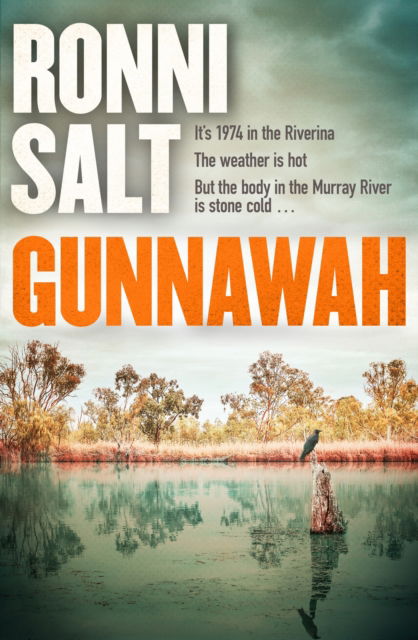 Cover for Ronni Salt · Gunnawah: A captivating and compulsive crime thriller about guns, drugs and a young woman dead on the money (Pocketbok) (2024)