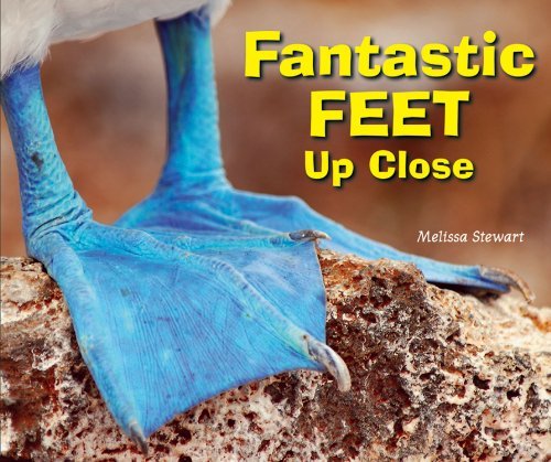 Cover for Melissa Stewart · Fantastic Feet Up Close (Animal Bodies Up Close) (Hardcover Book) (2012)