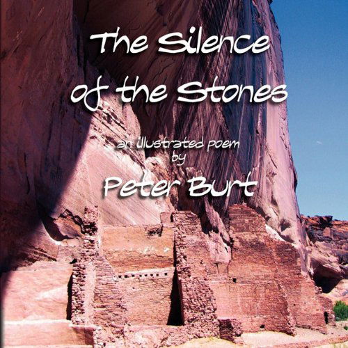 Cover for Peter Burt · The Silence of the Stones (Paperback Book) (2010)