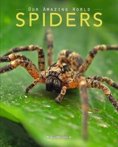 Cover for Kay De Silva · Spiders: Amazing Pictures &amp; Fun Facts on Animals in Nature (Pocketbok) (2016)