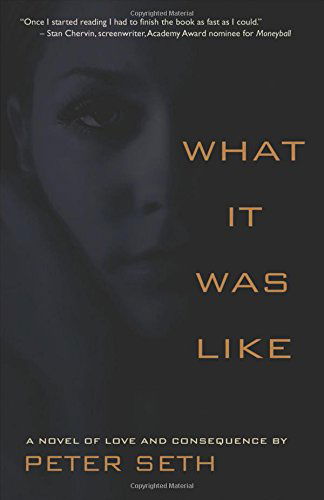 Cover for Peter Seth · What It Was Like (Paperback Book) (2014)